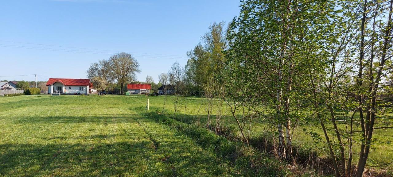 Wygodny Dom Na Ponidziu Z Basenem Villa Wislica Exterior foto