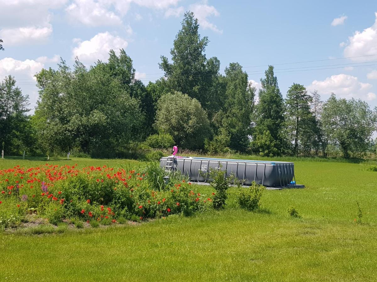 Wygodny Dom Na Ponidziu Z Basenem Villa Wislica Exterior foto